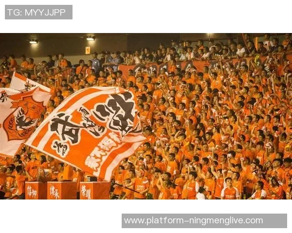 荷兰足球衣服的魅力与历史探秘，展现橙色激情与球迷文化